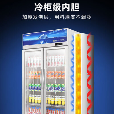 星星530L双开门展示柜风直冷立式冰柜测评看真相(星星立式冰柜怎么调温度)