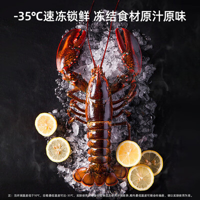美菱冰柜BC/BD-301DT301升大容量冰柜怎么样（美菱冰柜怎么调温度）-图片5