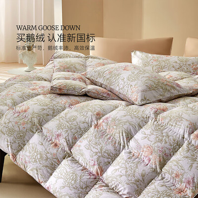 水星鹅绒被90和白鹅绒95(水星家纺 95白鹅绒加厚冬被 220x240cm羽绒被是否值得入手)-图片2