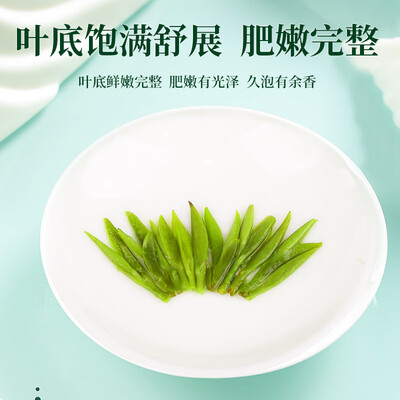 一杯香早春龙井绿茶250g到底如何,值得入手吗（一杯香绿茶哪款好喝）