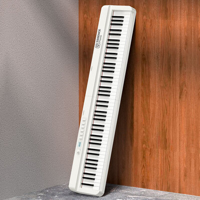 特伦斯折叠电钢琴88键到底如何,值得入手吗（特伦斯电钢琴是哪个国家的）