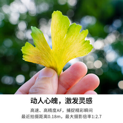 腾龙 A063 28-75mm F/2.8 G2 微单镜头怎么样（腾龙微单镜头18-400怎么样）-图片2