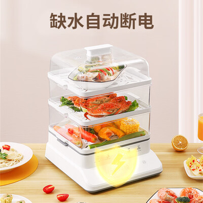 电蒸锅 多功能家用二层不锈钢质量烂不烂（电蒸锅怎么样）-图片2
