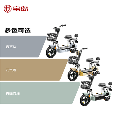 宝岛抹茶电动自行车48V12Ah电池续航45km质量烂不烂（宝岛电动自行车怎么样值得买吗）-图片4