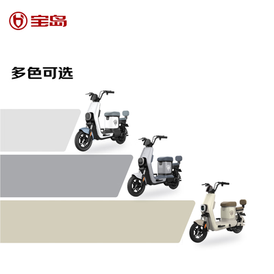 宝岛N5电动自行车 物语灰质量烂不烂(宝岛电动自行车后座怎么拆下)-图片1