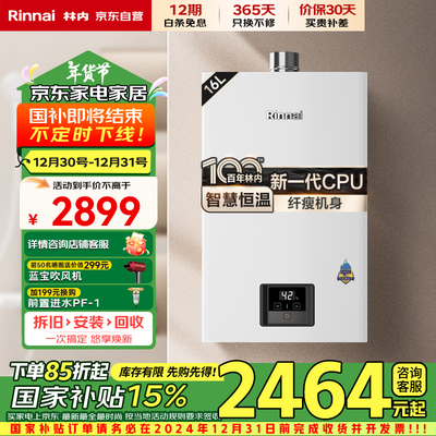 林内16GD31燃气热水器 智慧恒温升级值得手入吗(林内燃气热水器哪个系列最好)-图片3