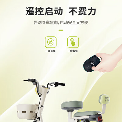 爱玛新国标糖豆48V16plusAH长续航电动自行车是否值得入手（爱玛电动自行车哪款最好）-图片5