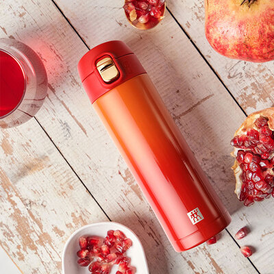 双立人（ZWILLING）保温杯水杯 430mL ZW-BP827/1033578