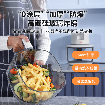 杜邦DUPON空气炸锅A6L透明可视体验效果好吗（杜邦空气炸锅最建议买哪款）-图片2