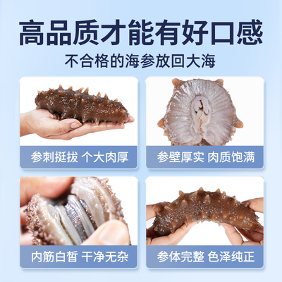 小兵天然淡干海参怎么样（小兵海参辽参大连鲜活野生海参即食6-9头/斤即食海参怎么样）-图片1