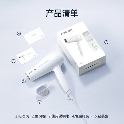 飞科（FLYCO）电吹风机家用发廊大功率2000W速干恒温便携可折叠白色FH6232