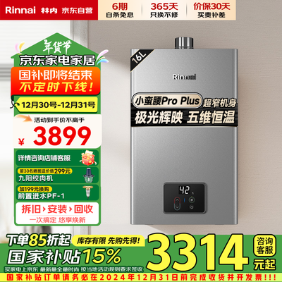 林内16GD33燃气热水器16升极光灰进口恒温芯值得手入吗(林内燃气热水器哪个系列最好)-图片1