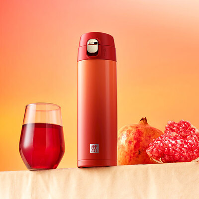 双立人（ZWILLING）保温杯水杯 430mL ZW-BP827/1033578