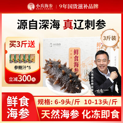 小兵海参好不好（小兵海参辽参大连鲜活野生海参即食独立包装即食海参好不好）-图片3