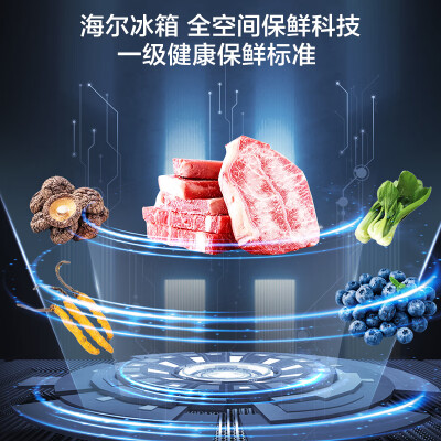 海尔（Haier）四开门十字对开门冰箱 一级大容量 超薄零嵌 EPP超净 全空间保险科技 阻氧干湿分储  国家补贴20%