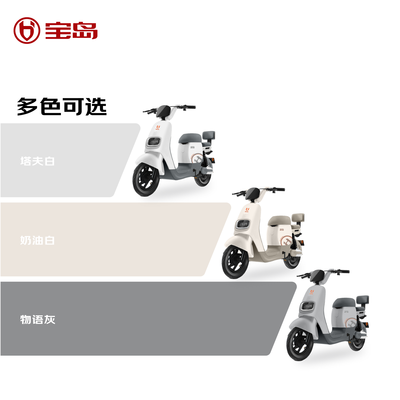 宝岛N18锂电电动自行车好不好（宝岛电动自行车质量怎么样排行第几名）