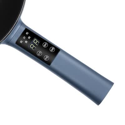 山水（SANSUI）电炒锅 S -CG3201