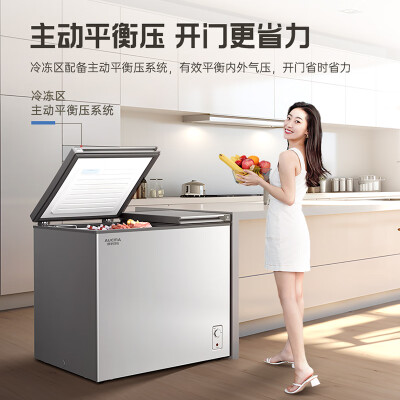 澳柯玛 BCD-211CSNE双温冰柜体验效果好吗（澳柯玛冰柜冷藏和冷冻怎么调节）-图片3