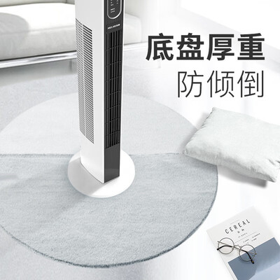 美菱（MeLng）电风扇（遥控款）MPT-DG0009