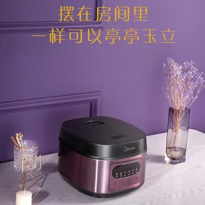 美的 电饭煲 FB50M171