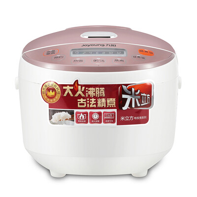 九阳（Joyoung）多功能电饭锅 F-30FE01 3L