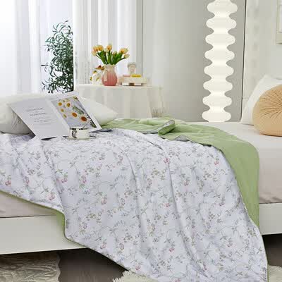 路易卡罗（Louis Kellog）晨曦物语天丝被 LK-8835