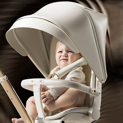 DELAMA Q2高景观婴儿推车靠谱吗,揭秘内幕(德拉玛婴儿推车怎么样)-图片3