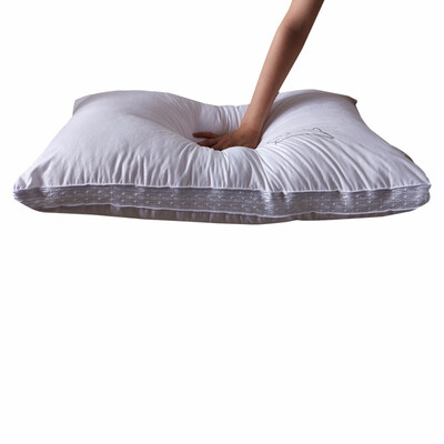 恒源祥 富贵羊毛枕 TGZ1006 1000g 48*74cm