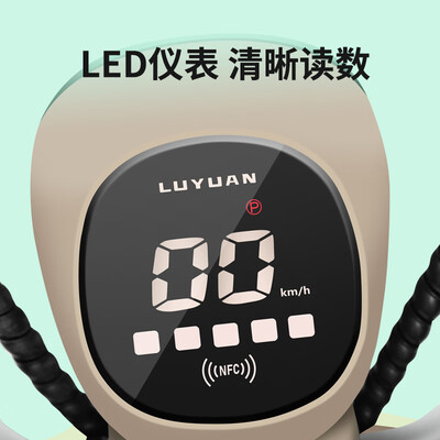 绿源FOO2续航80公里电动自行车值得手入吗（绿源电动自行车后座坐垫怎么拆）-图片2