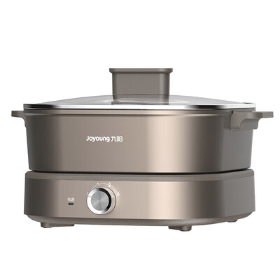 九阳（Joyoung）鸳鸯电火锅 6L HG60-G955  