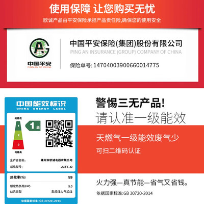 集成灶一体油烟机什么牌子好（欧诚 集成灶 BL009 家用体感抽油烟机分体式集成灶体验效果好吗）