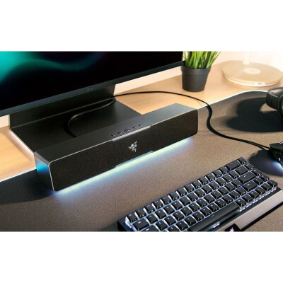 雷蛇（RAZER） 利维坦巨兽LEVIATHAN V2 X条形音响音箱 PC游戏 全频驱动 USB 黑色