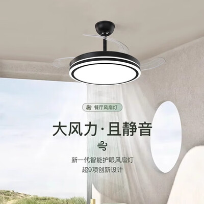 风扇灯吊扇灯好用吗（荣事达42寸隐形风扇灯客厅吊灯体验效果好吗）