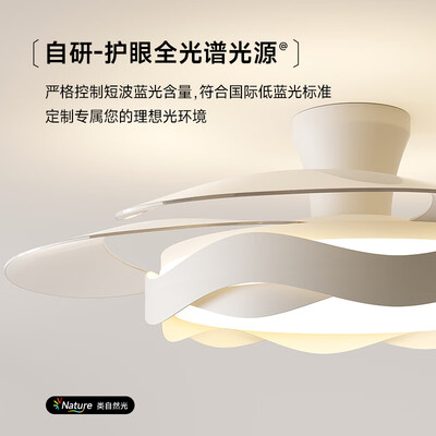 大自然照明怎么样（大自然A款静音风扇灯餐厅吊灯怎么样）-图片3