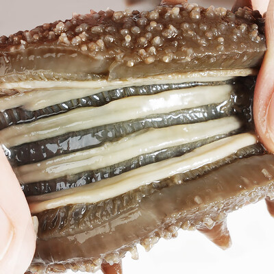 淘宝官参堂海参怎么样（官参堂淡干海参评测说真相）