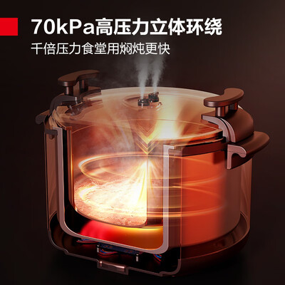 德玛仕高压锅好么(德玛仕电压力锅45L商用大容量商用电压力锅评测说真相)-图片1