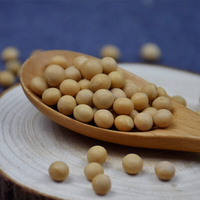 长岭尖 黄豆400g 袋装