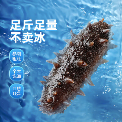 即食海参和海参干哪个好(海参先生hs001即食海参评测说真相)