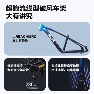 九号（Ninebot） 20英寸 童车（6-12岁）