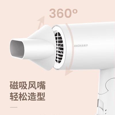 飞科（FLYCO）飞科电吹风 FH6276