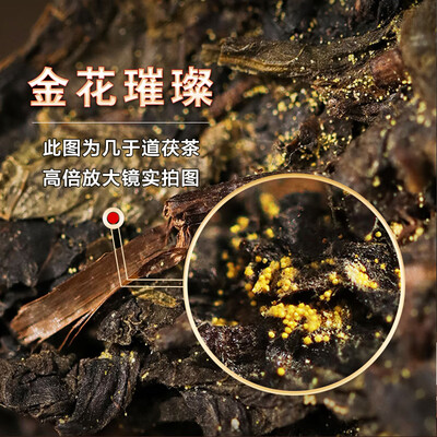 泾阳茯茶与安化黑茶哪个好(几于道 泾阳茯茶1kg黑茶评测说真相)