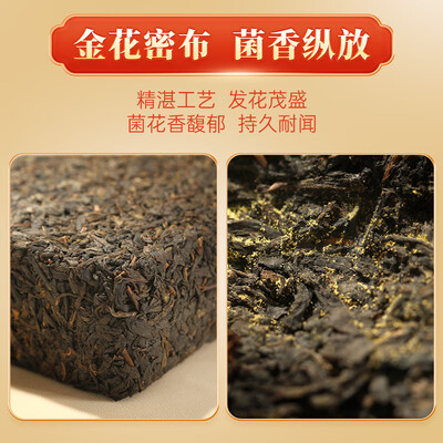 中粮中茶安化金花茯砖茶1kg黑茶体验效果好吗（百年木仓怎么样）-图片6