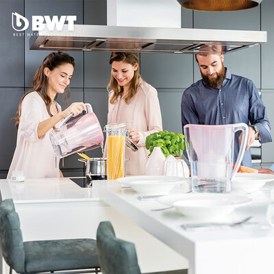 倍世（BWT） 净水壶  Penguin