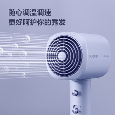 飞科（FLYCO）电吹风机家用 FH6358
