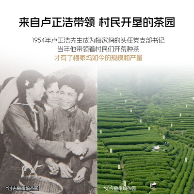 龙井茶和毛尖茶的区别(龙井茶是否值得入手)