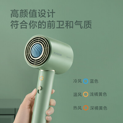 飞科（FLYCO） 吹风机 1600w  FH6310/FH6311/FH6312