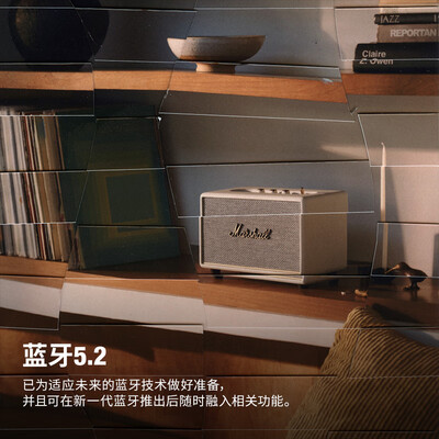 marshall蓝牙音箱型号区别（MARSHALL ACTON III 无线蓝牙音箱奶白色重低音音响质量如何）