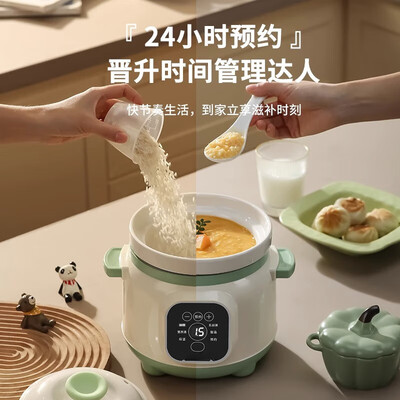宝宝电炖锅买什么牌子好(RASW 1.6L婴儿电炖锅 全自动煲汤熬粥煲粥锅到底如何,值得入手吗)-图片6