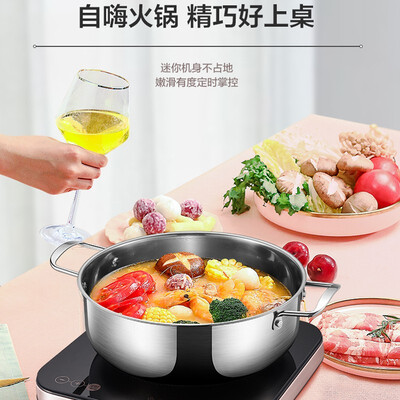 苏泊尔(SUPOR) 电磁炉 C21-IC20 