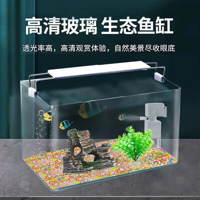 强势登场！聚创麒鱼缸五大亮点让你心动不已！